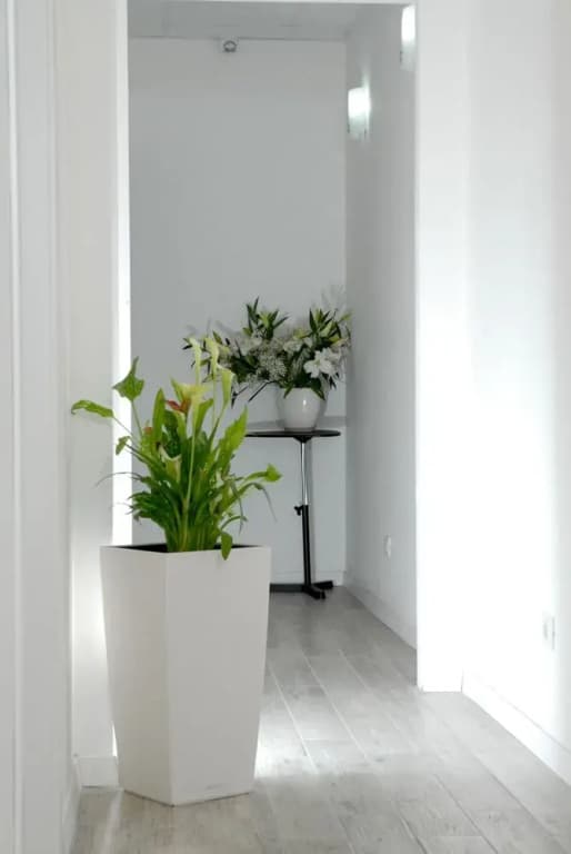 Gardenia Suites - photo 13