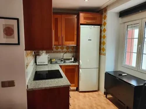 Apartamentos Madrid Atocha - photo 13