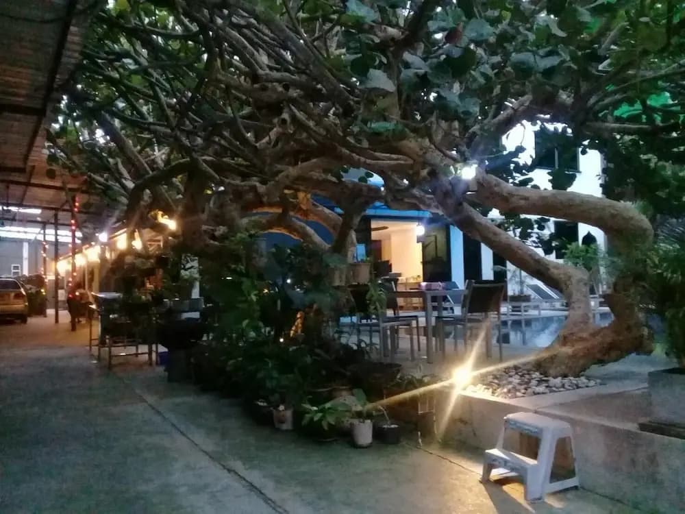 Yaka Hotel - photo 40