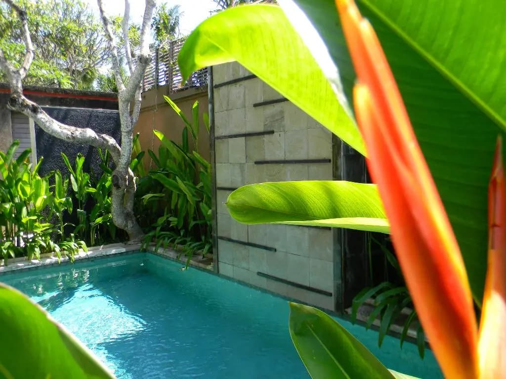 Ahimsa Beach - photo 17