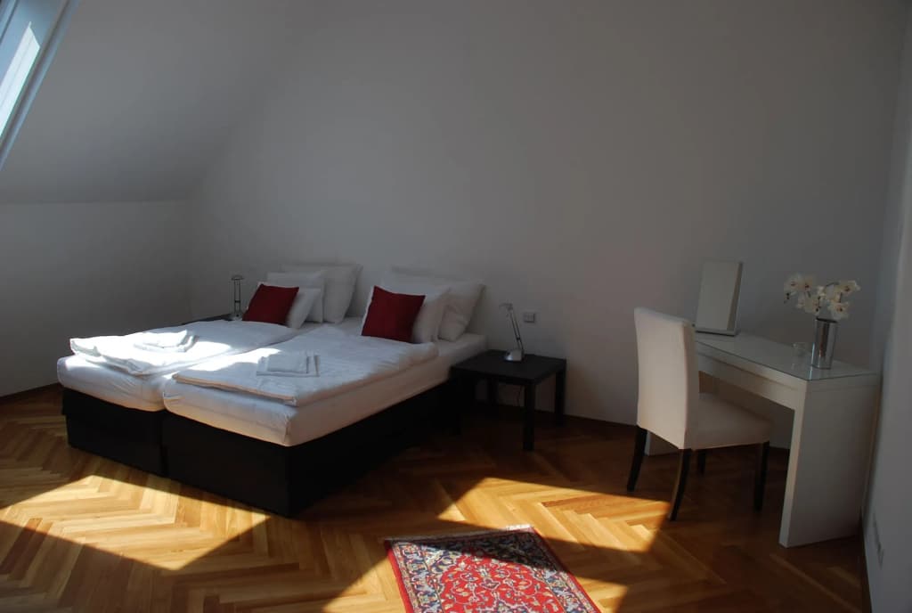 Duschel Apartments City Center - photo 4