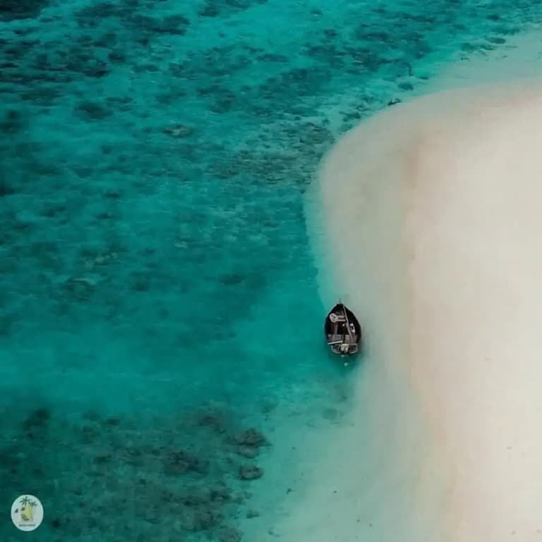 Shifa Lodge Maldives - photo 30