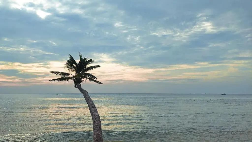 Anna Beach Phu Quoc - photo 14
