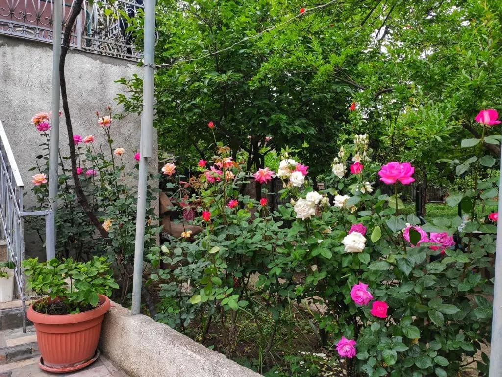 Guesthouse TTT-1 - photo 7