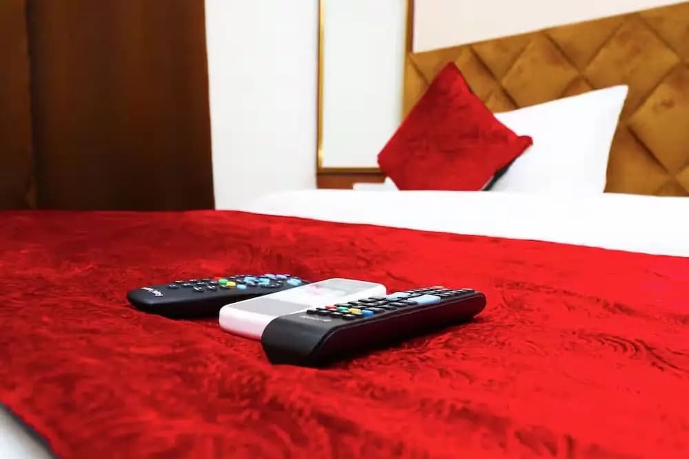 Hotel Silver Saffron Peeragarhi - photo 1
