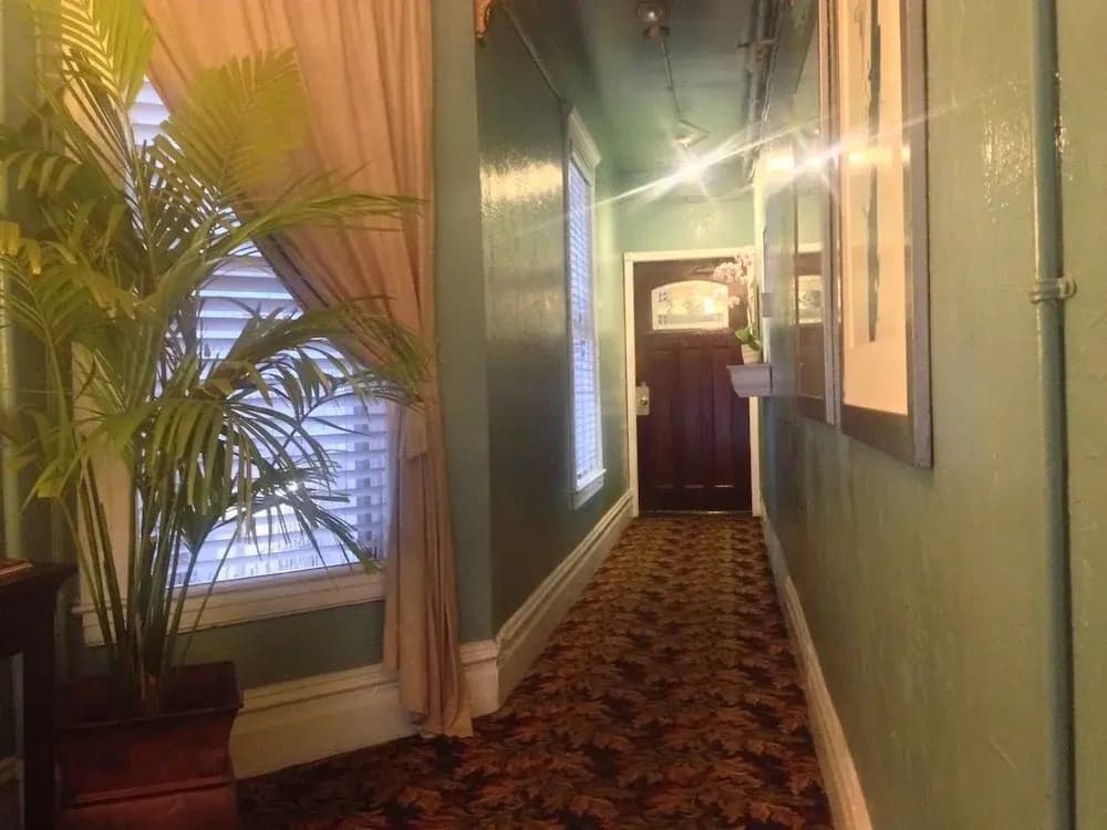 Luz Hotel - photo 11