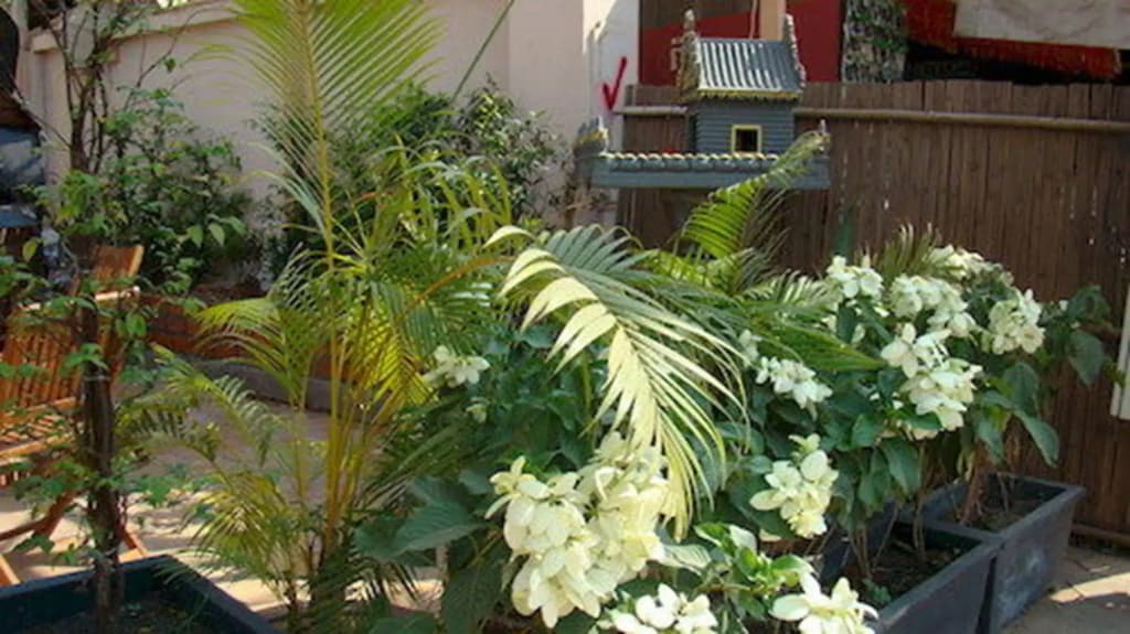 The Golden Square Villa - photo 12