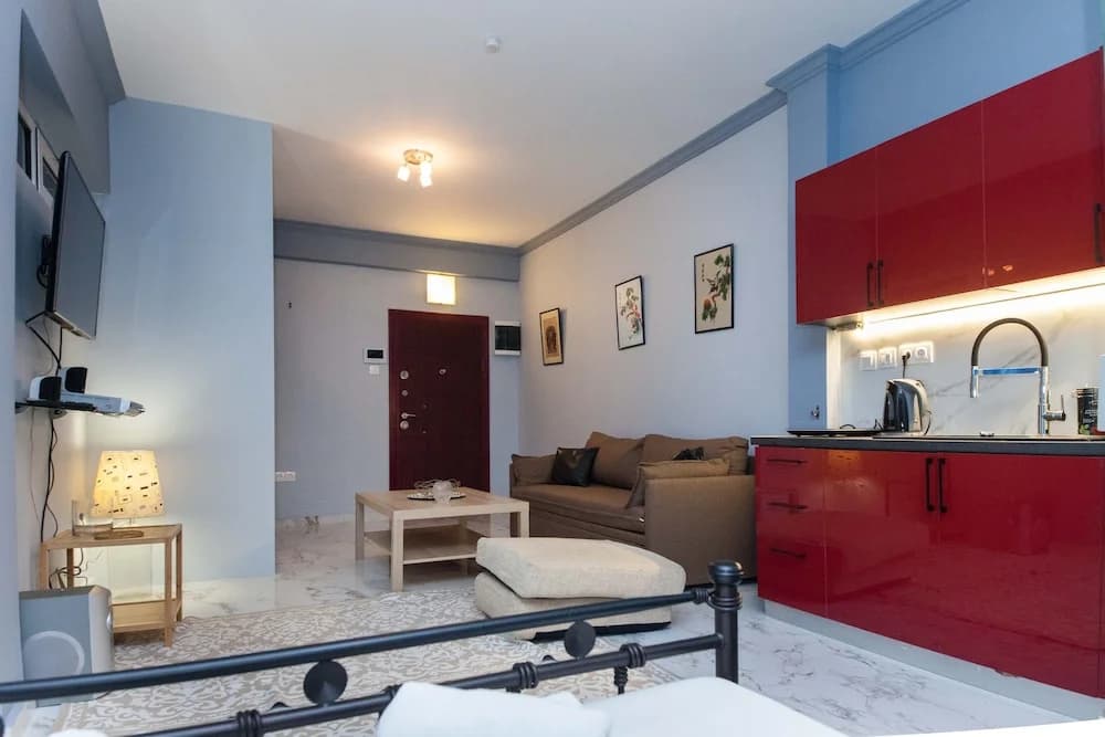 Modern Athenian City Center Studio - photo 15
