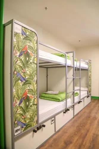 Cat's Hostel - photo 9