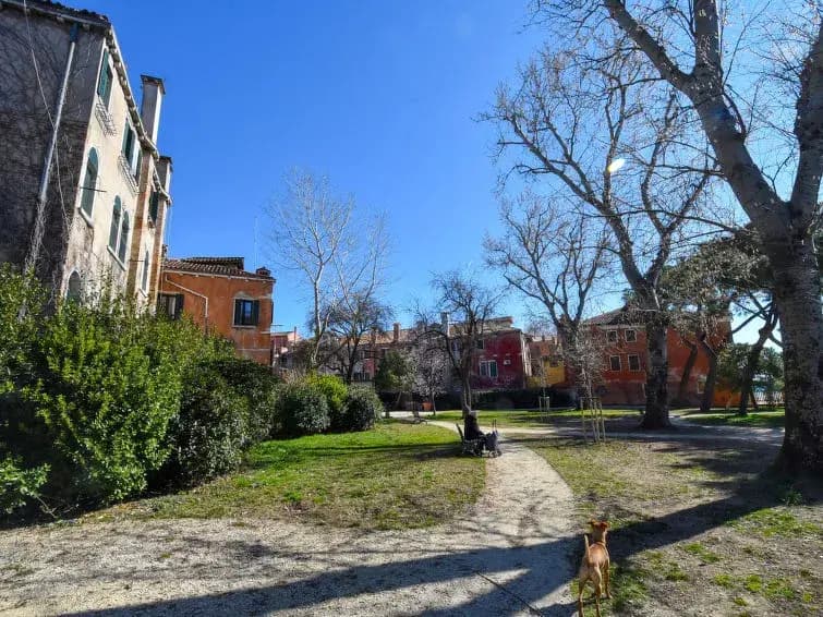Casanas - photo 11