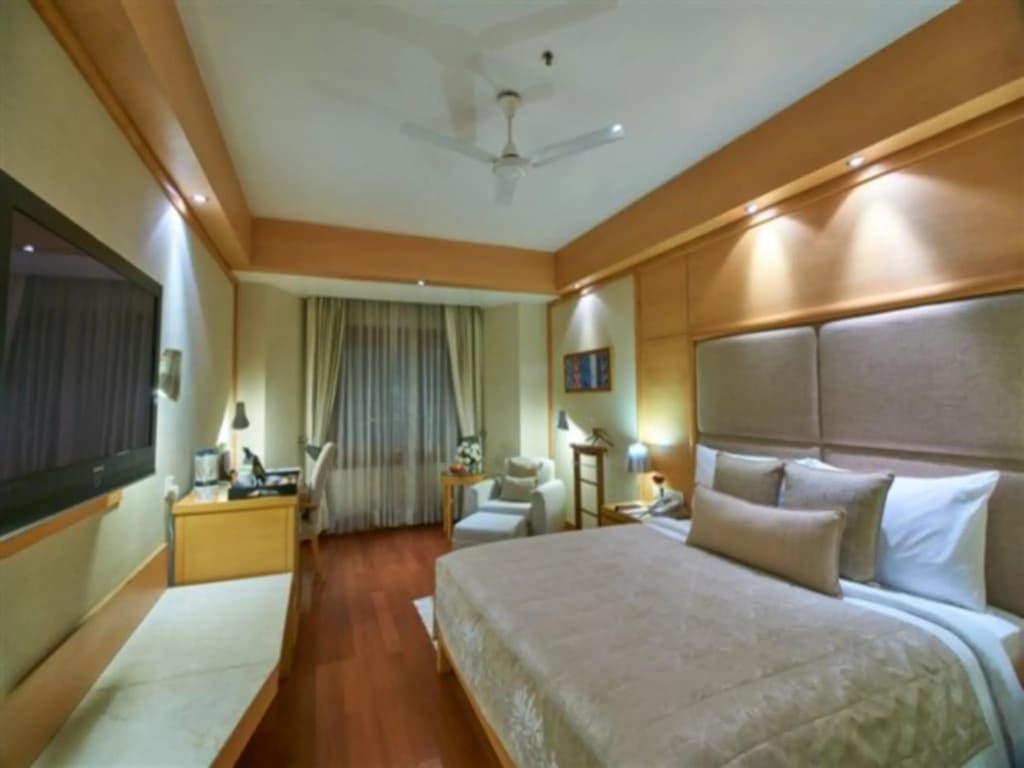 Jaypee Vasant Continental - photo 3