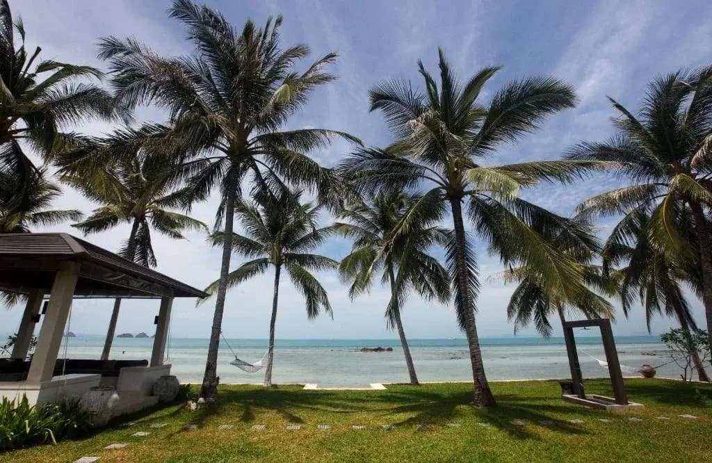 Baan Asan - photo 10