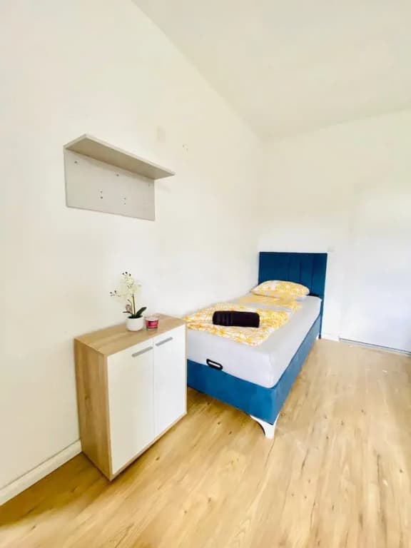 Spacious 4BR for 15 & 15 Min to Danube - photo 12