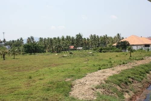 Chalong Seaview Resort - photo 17