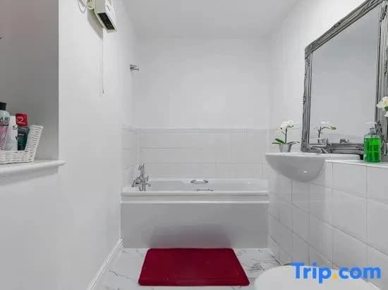 2-BR London Oasis in Woolwich - photo 4