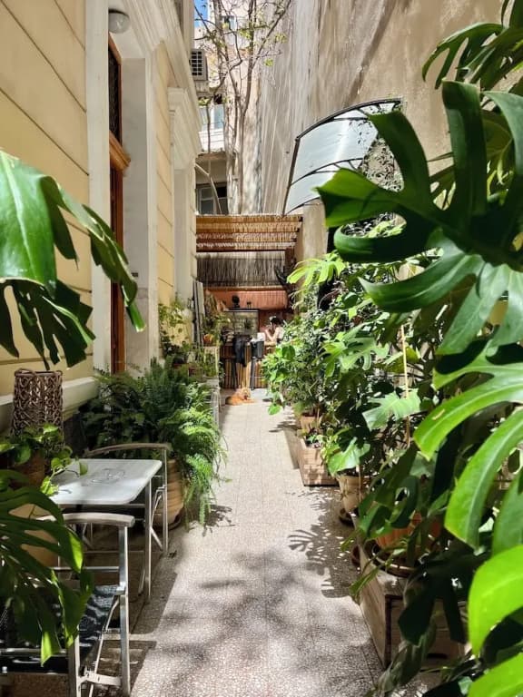 Baloo Hostel - photo 16