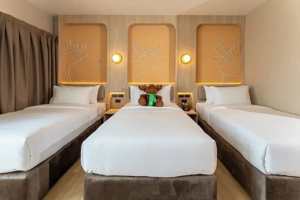 Moose Easy Hotel - photo 5