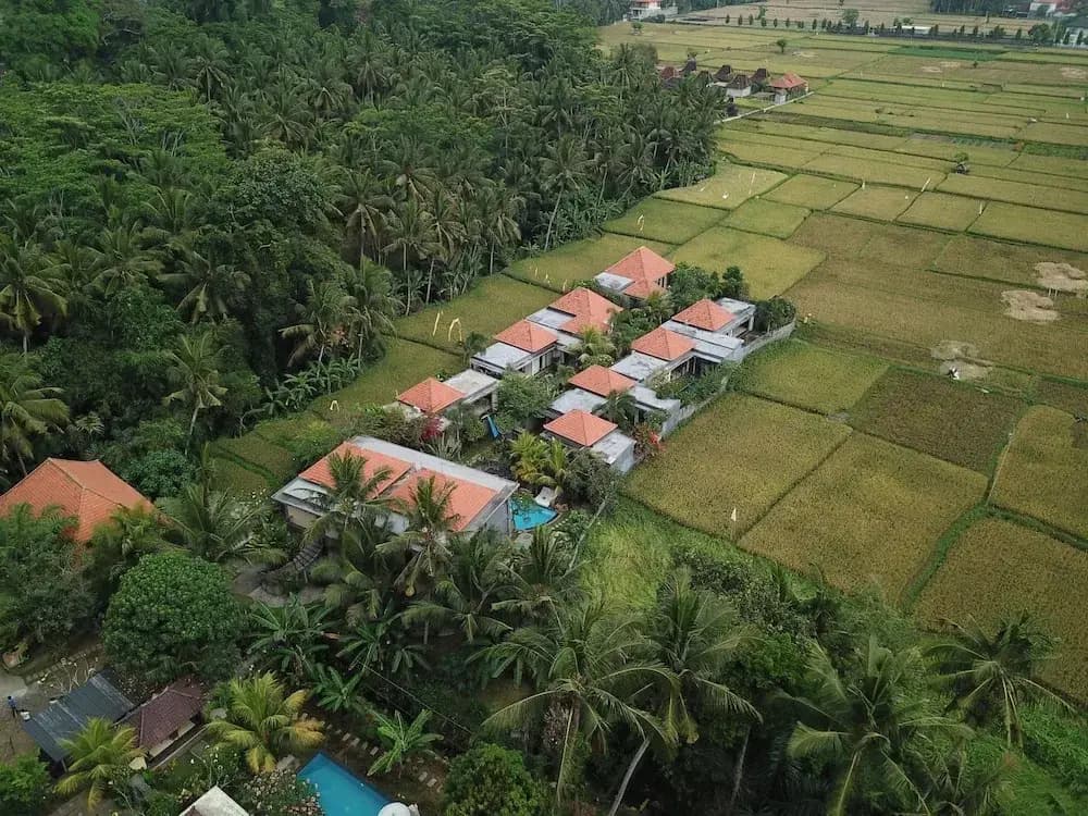 Asri Sari Villa Ubud - photo 17