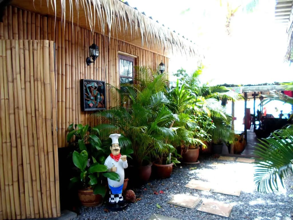 Tropical Footprints - photo 14