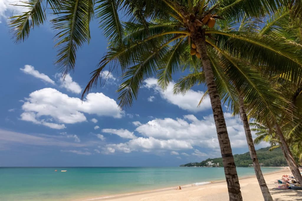 Sunwing Kamala Beach - photo 26