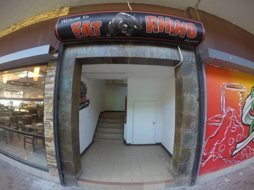 Fat Rhino Hostel - photo 8