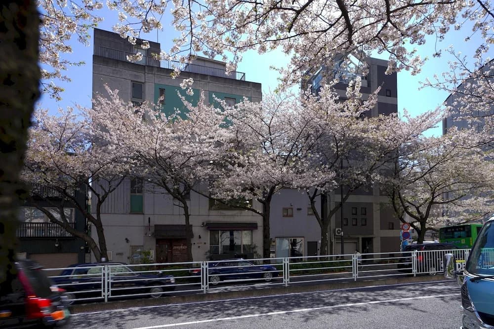 Penthouse 1-bedroom Flat in Hiroo Shibuya - photo 20