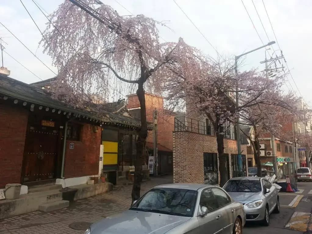 Suninjae - photo 12