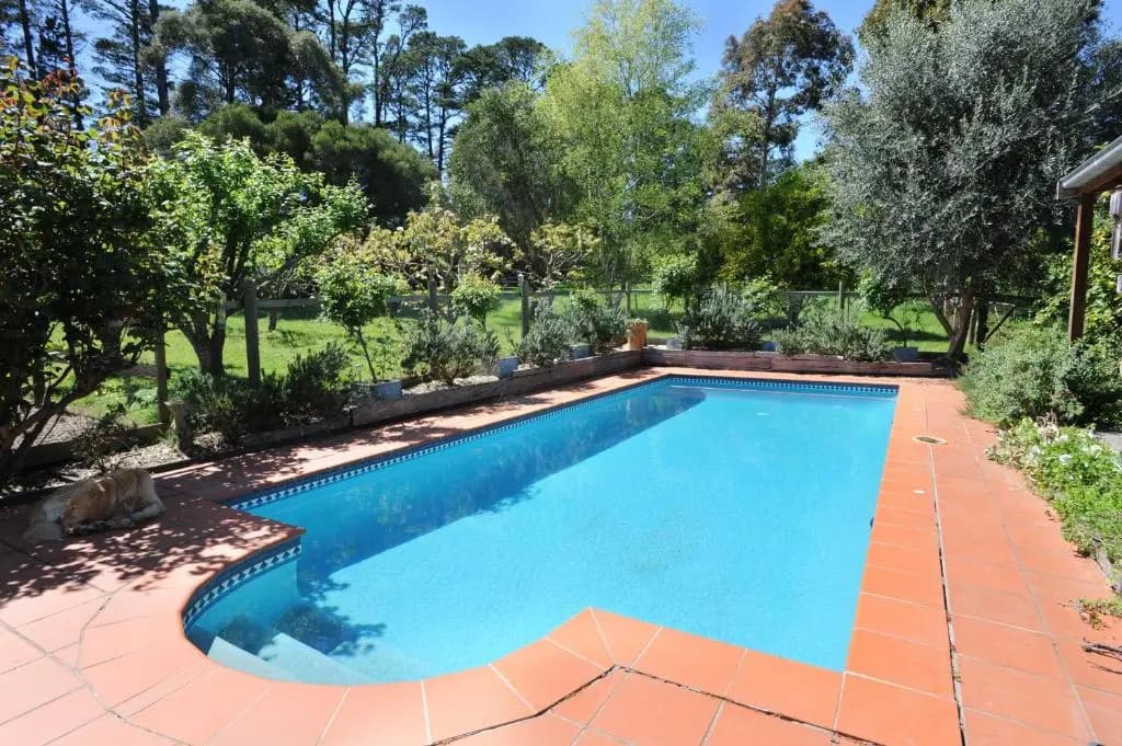 Lavender Farm Hotel - photo 8