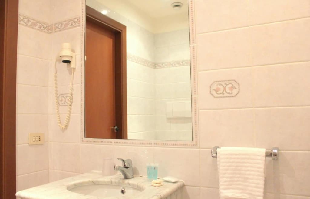 Romulus Hotel - photo 24