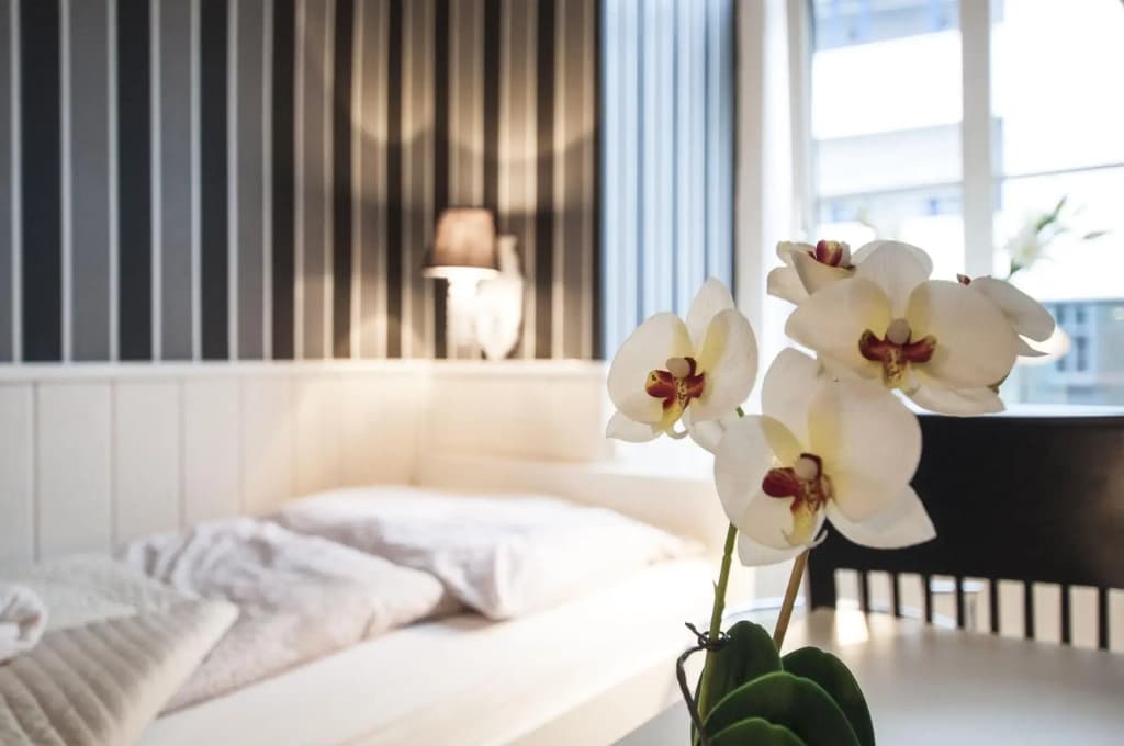 Urban Boutique Hotel - photo 22
