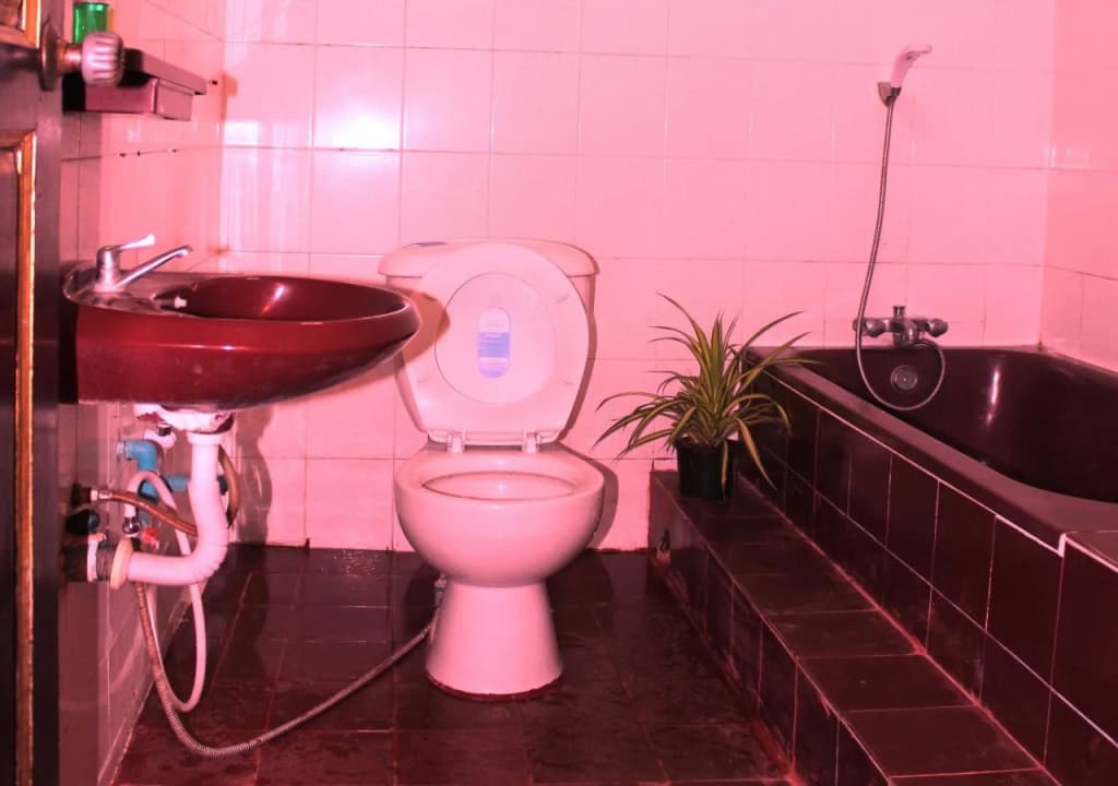 Rohan Guesthouse - photo 9