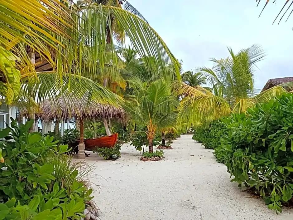 Island Life Maldives Retreat & Spa - photo 13