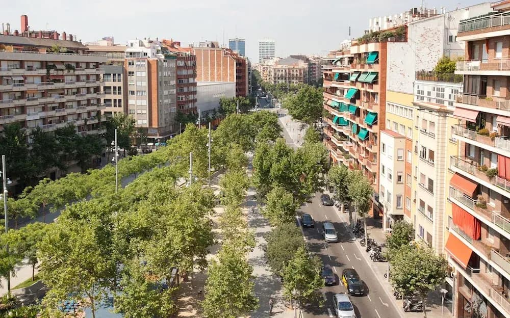Alcam Avenida De Roma - photo 10