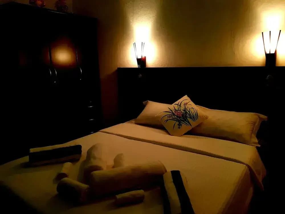 Island Guest - photo 5