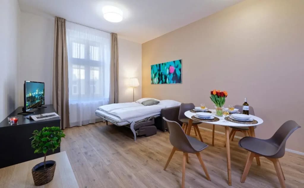 DownTown Suites Jugoslavska - photo 6