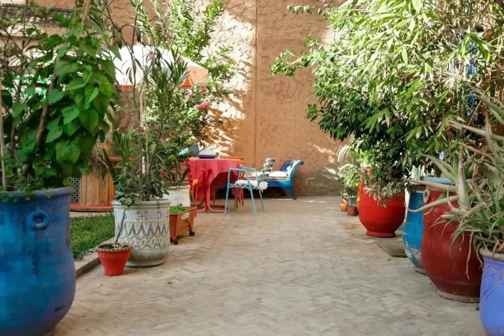 Riad Nizar - photo 18