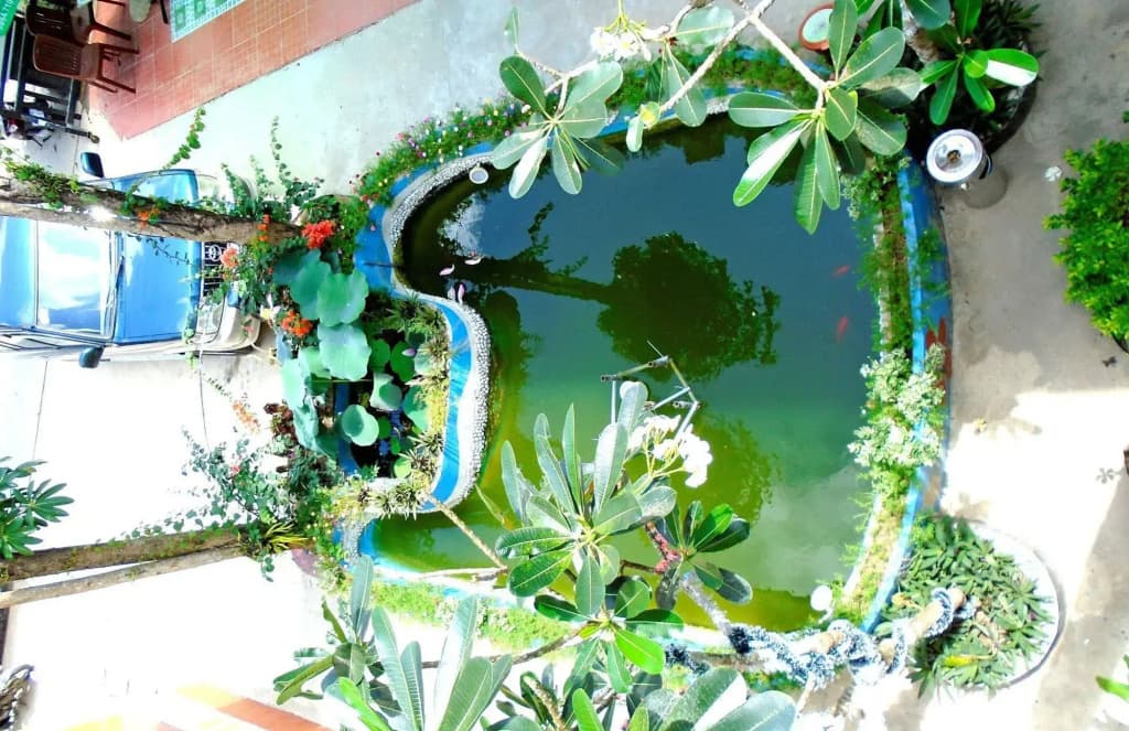 Phu Quy Resort Phu Quoc - photo 18
