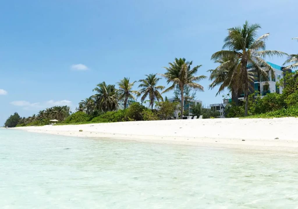 H78 Maldives - photo 17