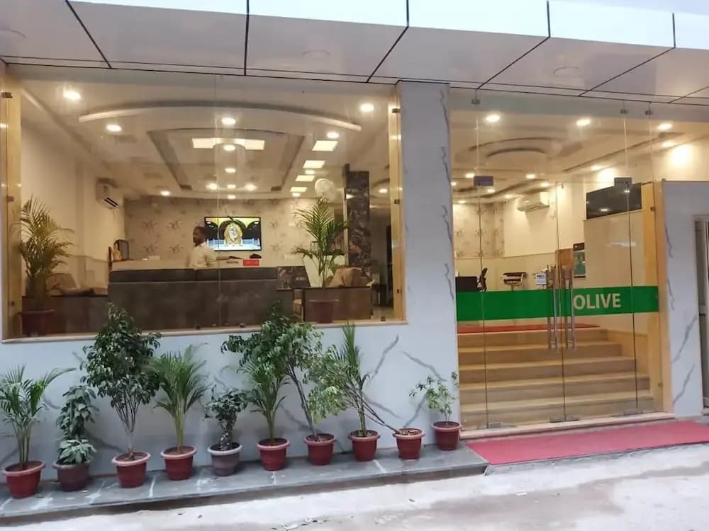 Hotel Olive - photo 2