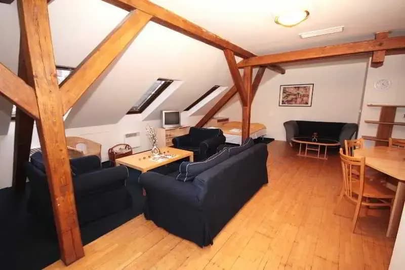 Jungmann Apartments - photo 5