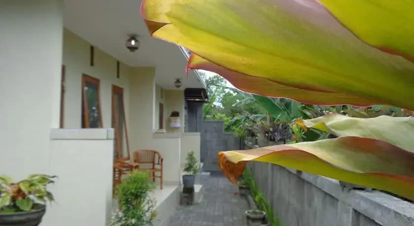 Sintya Homestay - photo 4