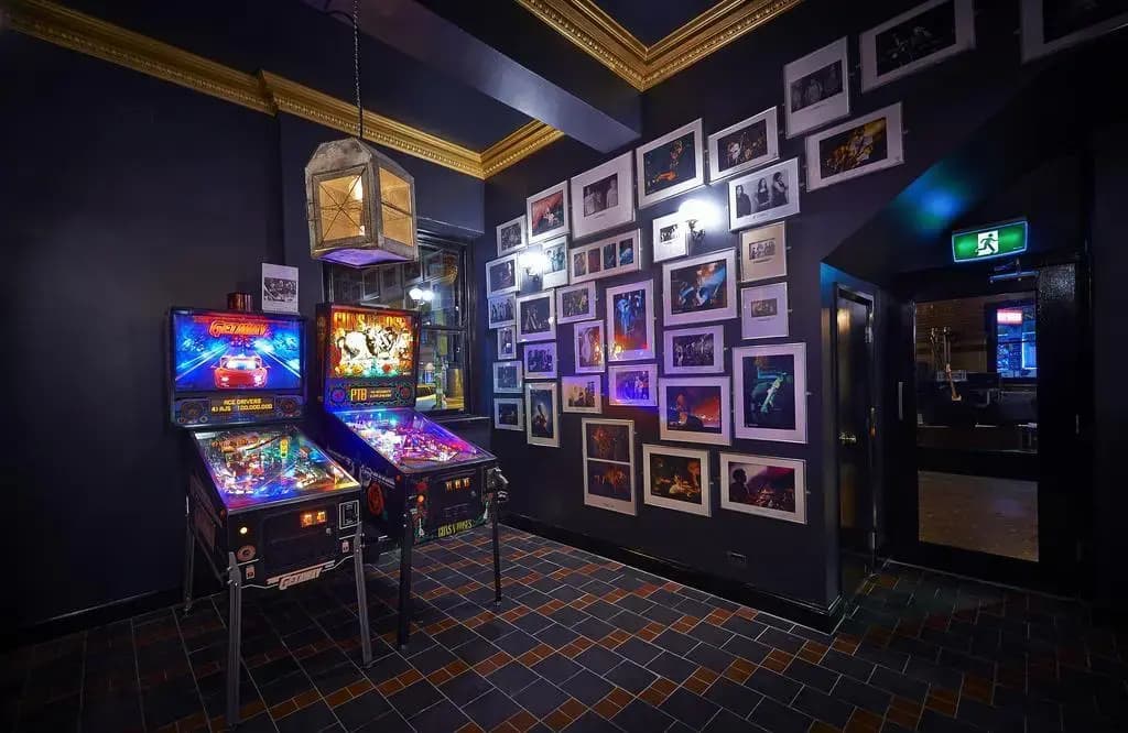 Annandale Hotel - photo 5