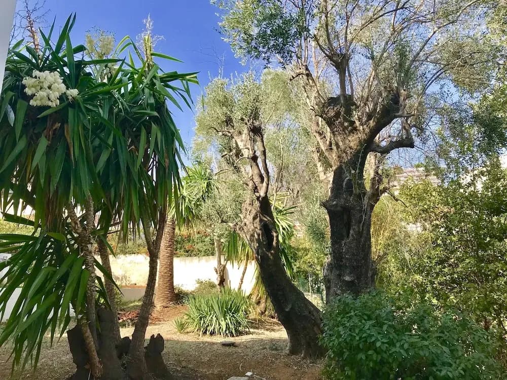 Villa Californienne - photo 14