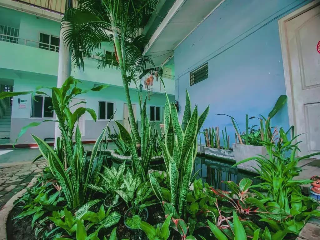 Jongrak Guest House - photo 2