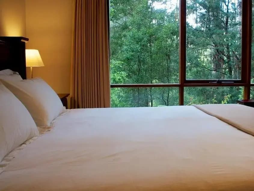 Olinda Guest House - photo 2