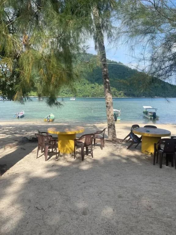 The Reef Bluestar Perhentian - photo 13