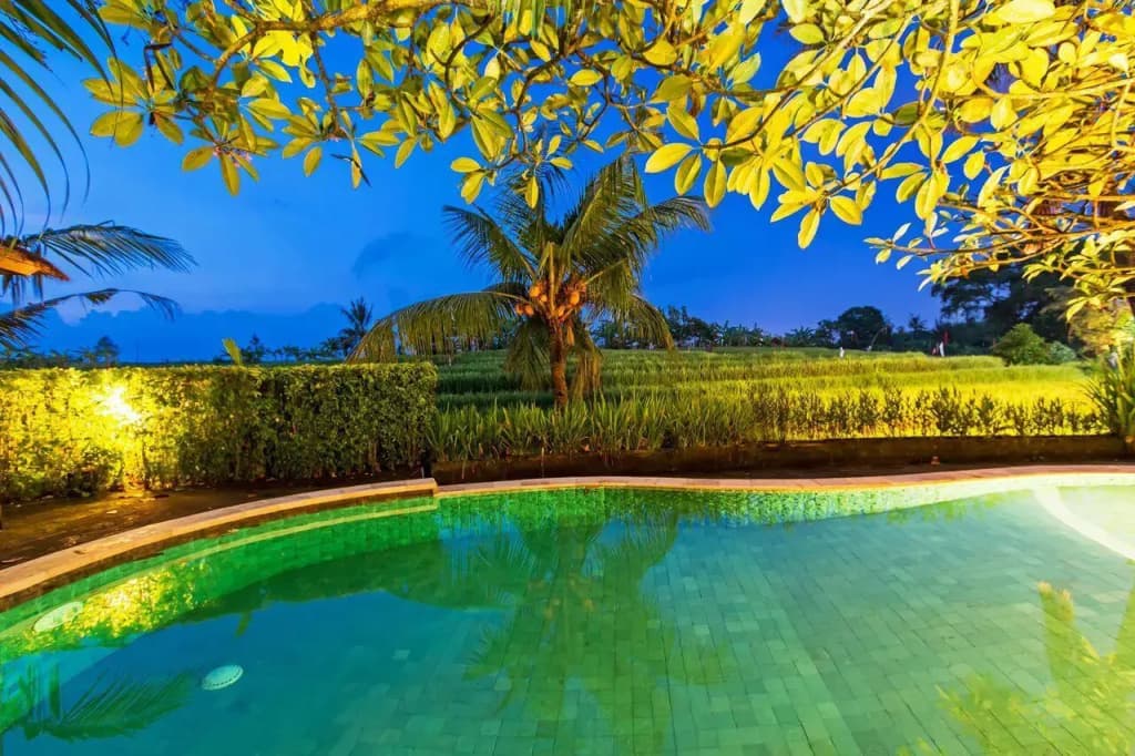 Villa Baru - photo 6