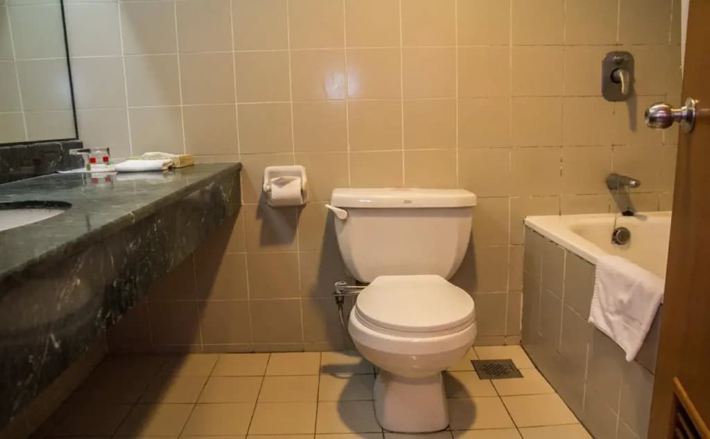 Premier Hotel - photo 10