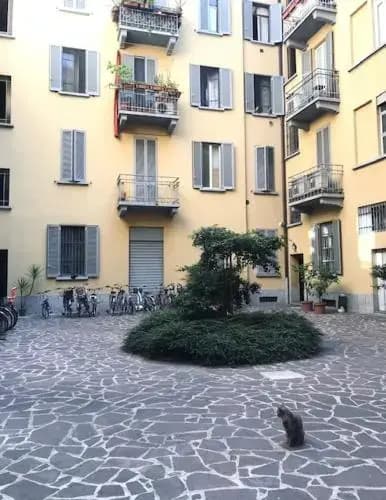 Lepontina, 13 - Grazioso E Confortevole - main photo