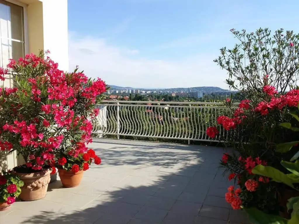 Panorama Villa Budapest - photo 13